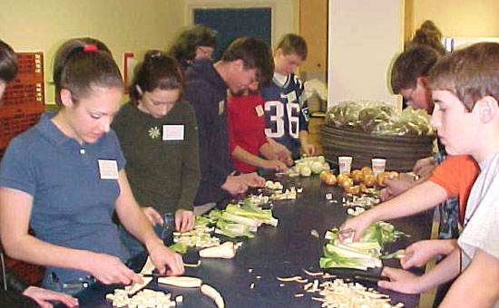 Soup preparations